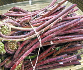 永興潤橙惠農(nóng)產(chǎn)品經(jīng)營部 優(yōu)質(zhì)食用農(nóng)產(chǎn)品批發(fā)與供應的優(yōu)選合作伙伴