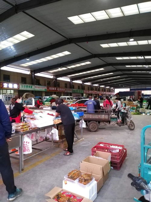 中貿農產品綜合批發市場 從基地到市場，蔬菜區一站式采購與每日參考價解析